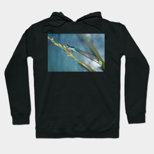 Blue Dragonfly Hoodie